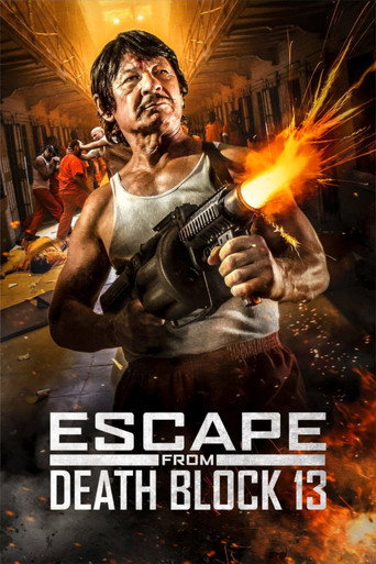 Poster for Escape from Death Block 13