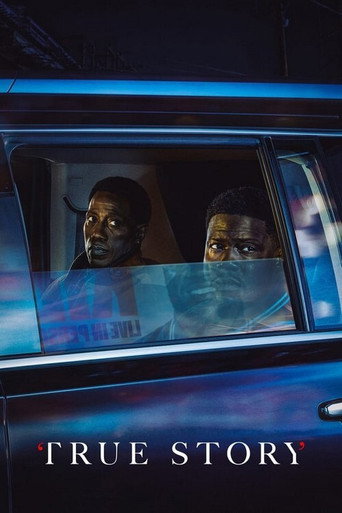 The poster for Limited Series