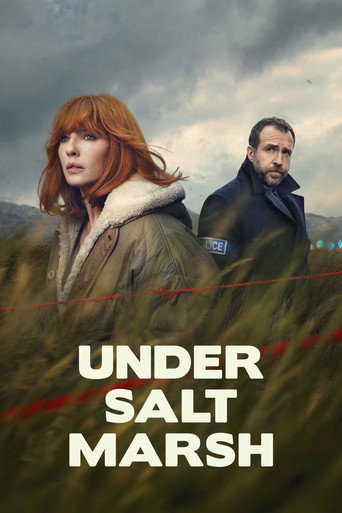 The poster for Miniseries