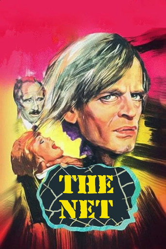Poster for The Net