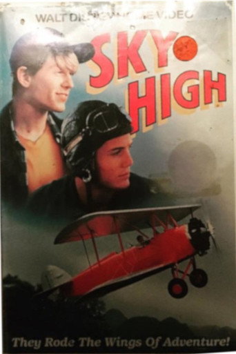 Poster for Sky High