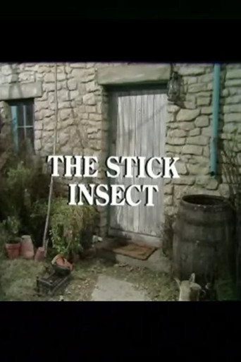 Poster for The Stick Insect