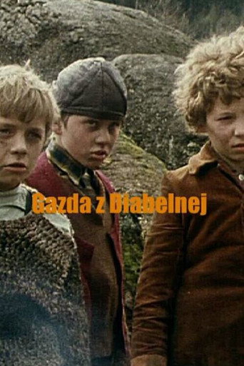 Poster for Gazda z Diabelnej