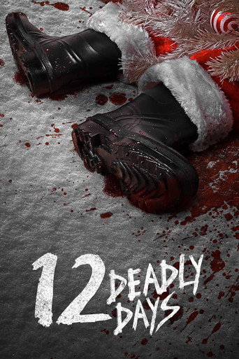 Poster for 12 Deadly Days