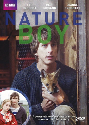 The poster for Miniseries