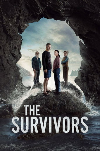 The poster for Limited Series