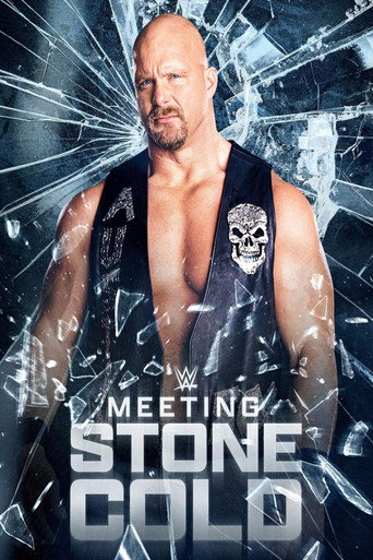 Poster for Meeting Stone Cold