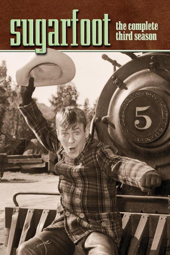 The poster for Season 3