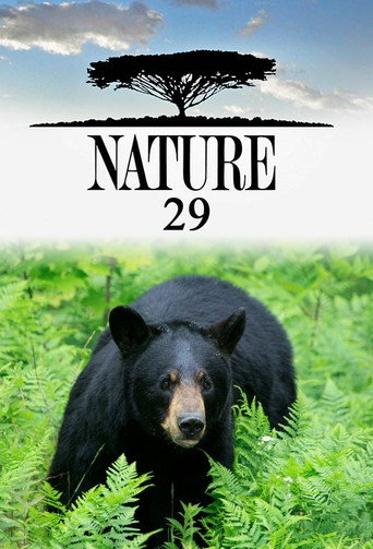The poster for Season 29