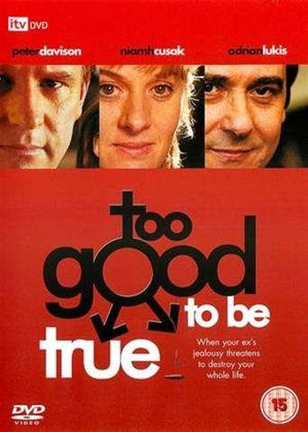 Poster for Too Good to Be True
