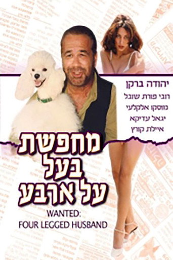 Poster for Wanted: Four Legged Husband