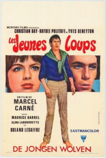 Poster for Young Wolves