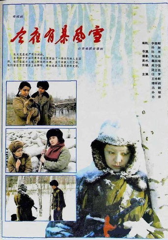Poster for 今夜有暴风雪