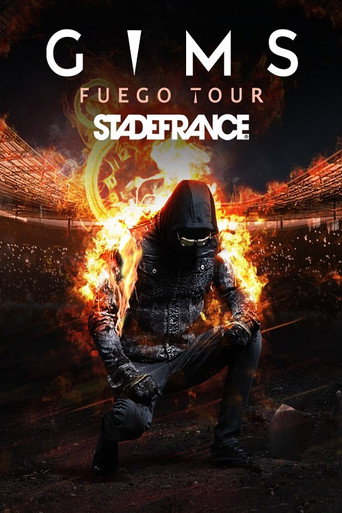 Poster for Gims - Destination Stade de France