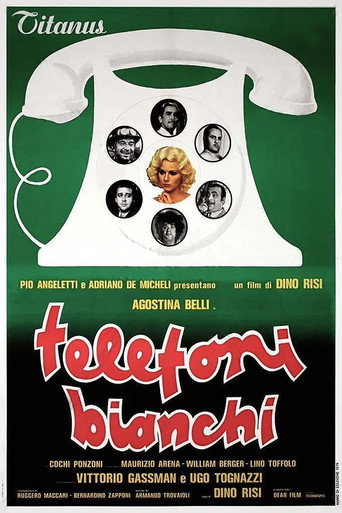 Poster for The Career of a Chambermaid