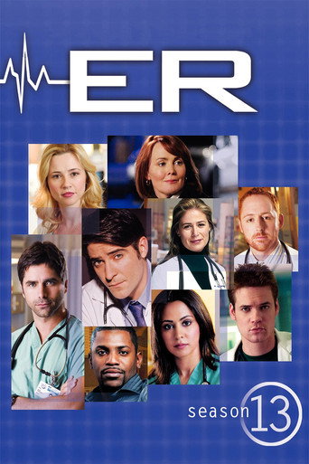 The poster for Season 13