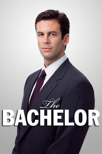 The poster for Season 1