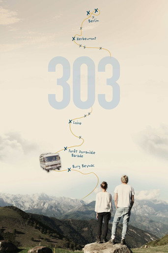 Poster for 303 – The Series