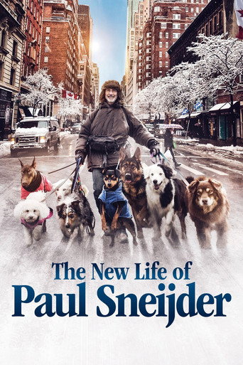 Poster for The New Life of Paul Sneijder
