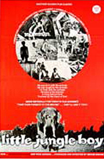 Poster for Little Jungle Boy