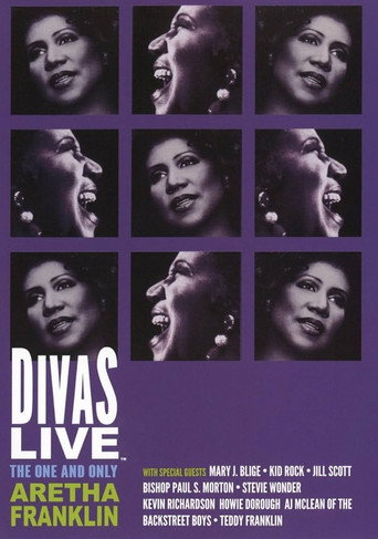 Poster for VH1 Divas Live: The One and Only Aretha Franklin
