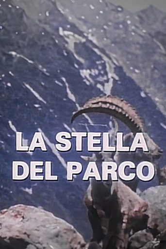 Poster for La Stella Del Parco