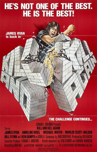 Poster for Kill and Kill Again