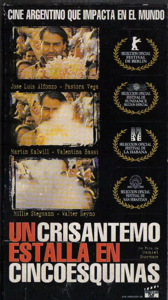 Poster for A Crysanthemum Bursts in Cincoesquinas