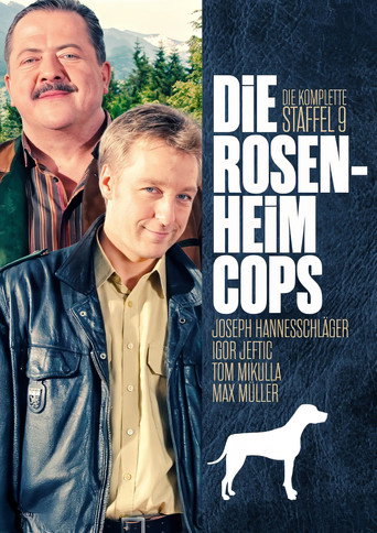 The poster for Season 9