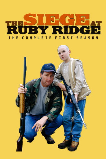 The poster for Miniseries