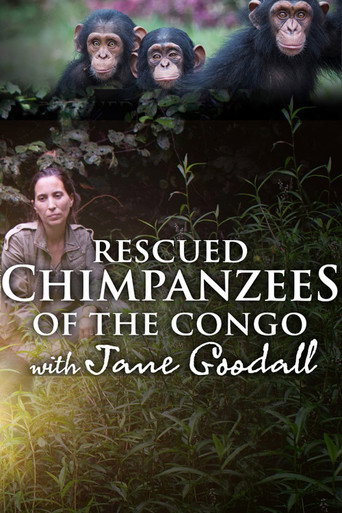 Poster for Rescued Chimpanzees of the Congo with Jane Goodall