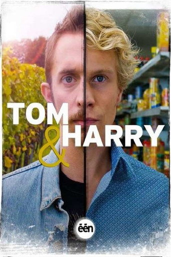 Poster for Tom & Harry