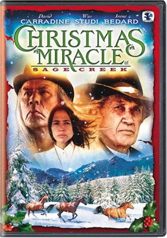 Poster for Miracle at Sage Creek