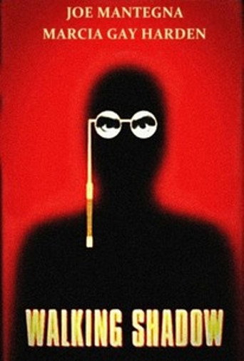 Poster for Walking Shadow