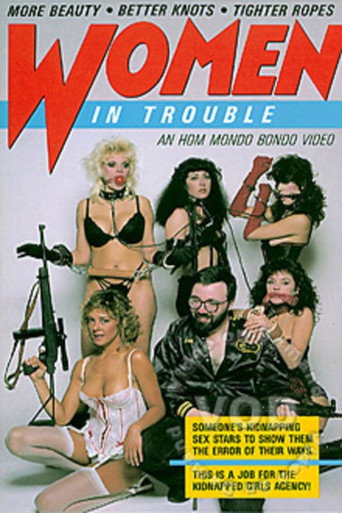 Poster for Women in Trouble