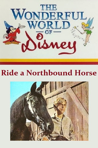 Poster for Ride a Northbound Horse