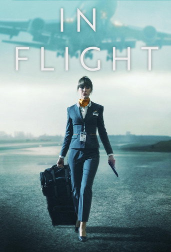 Poster for In Flight