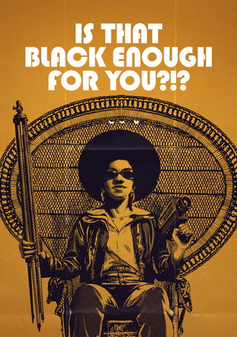 Poster for Is That Black Enough for You?!?