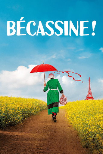 Poster for Bécassine !