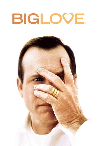 The poster for Season 1