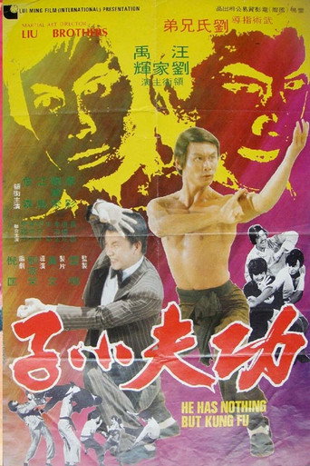 Poster for He Has Nothing But Kung Fu