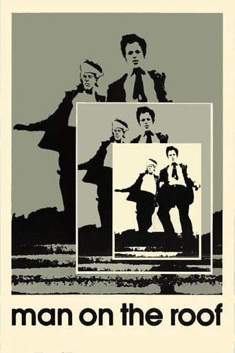Poster for Man on the Roof
