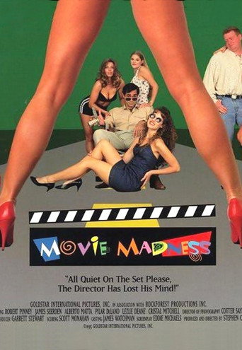 Poster for Movie Madness