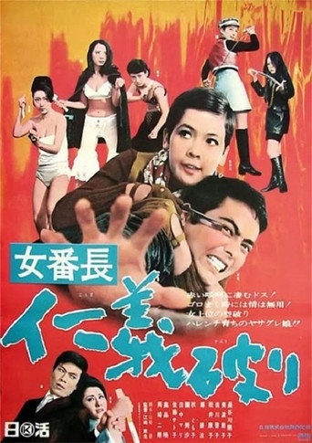 Poster for Girl Boss: Broken Justice