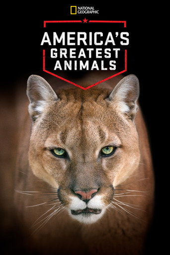 Poster for America's Greatest Animals