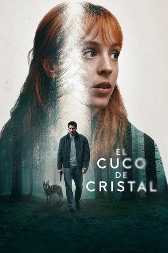 The poster for Limited Series