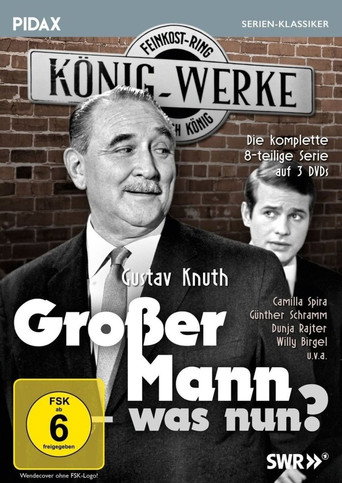 Poster for Großer Mann, was nun?