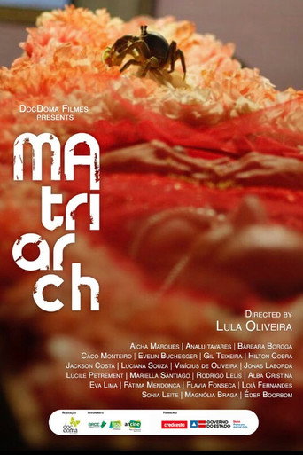 Poster for A Matriarca