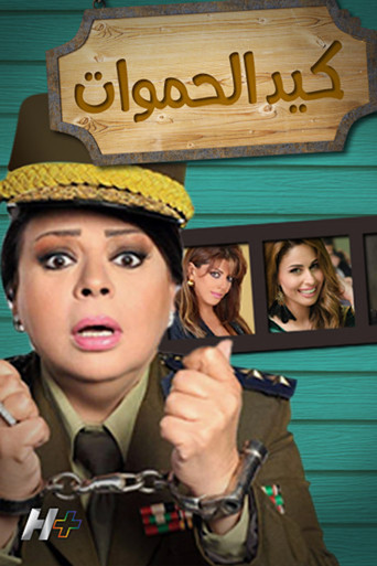 Poster for Mothers-in-Law Fight