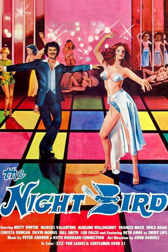 Poster for The Night Bird